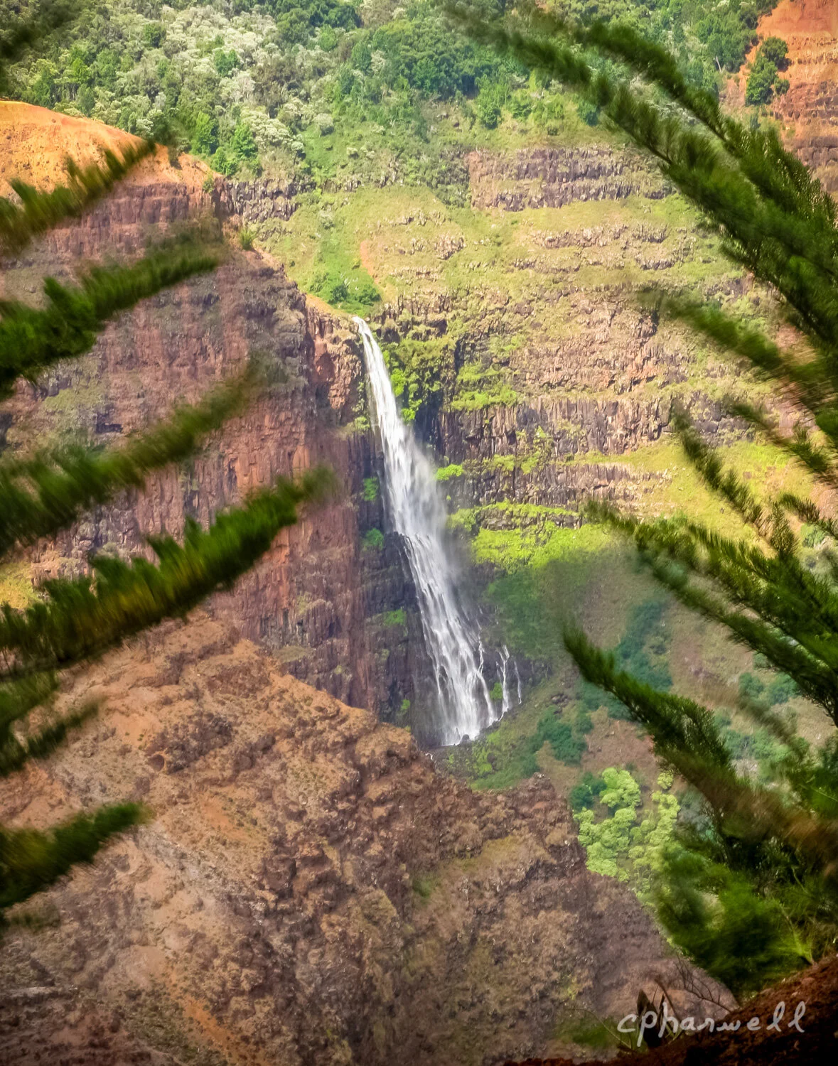 Long Fall - Fine Art Photography