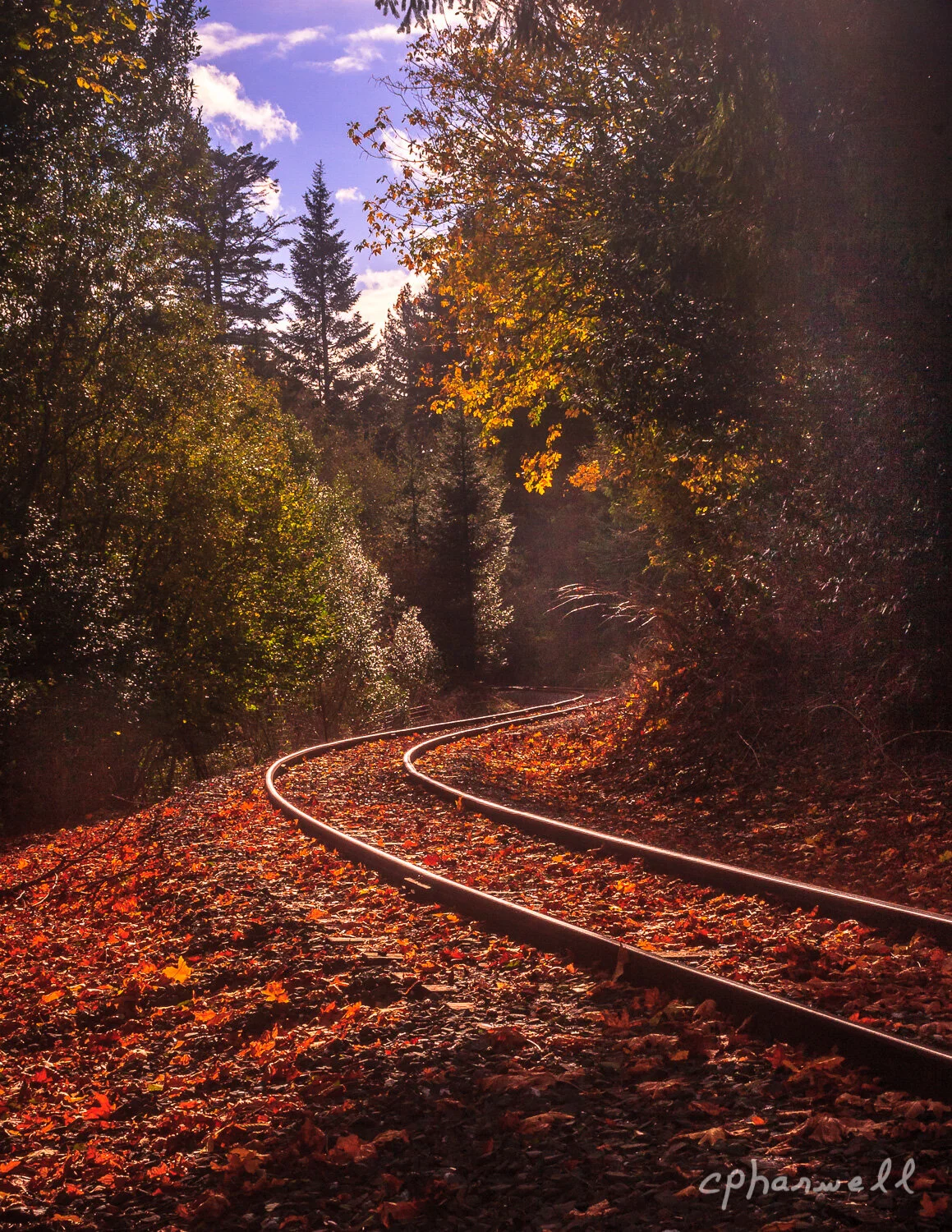 RR Tracks off Hiway 42, OR, Oct 2017-2.JPG