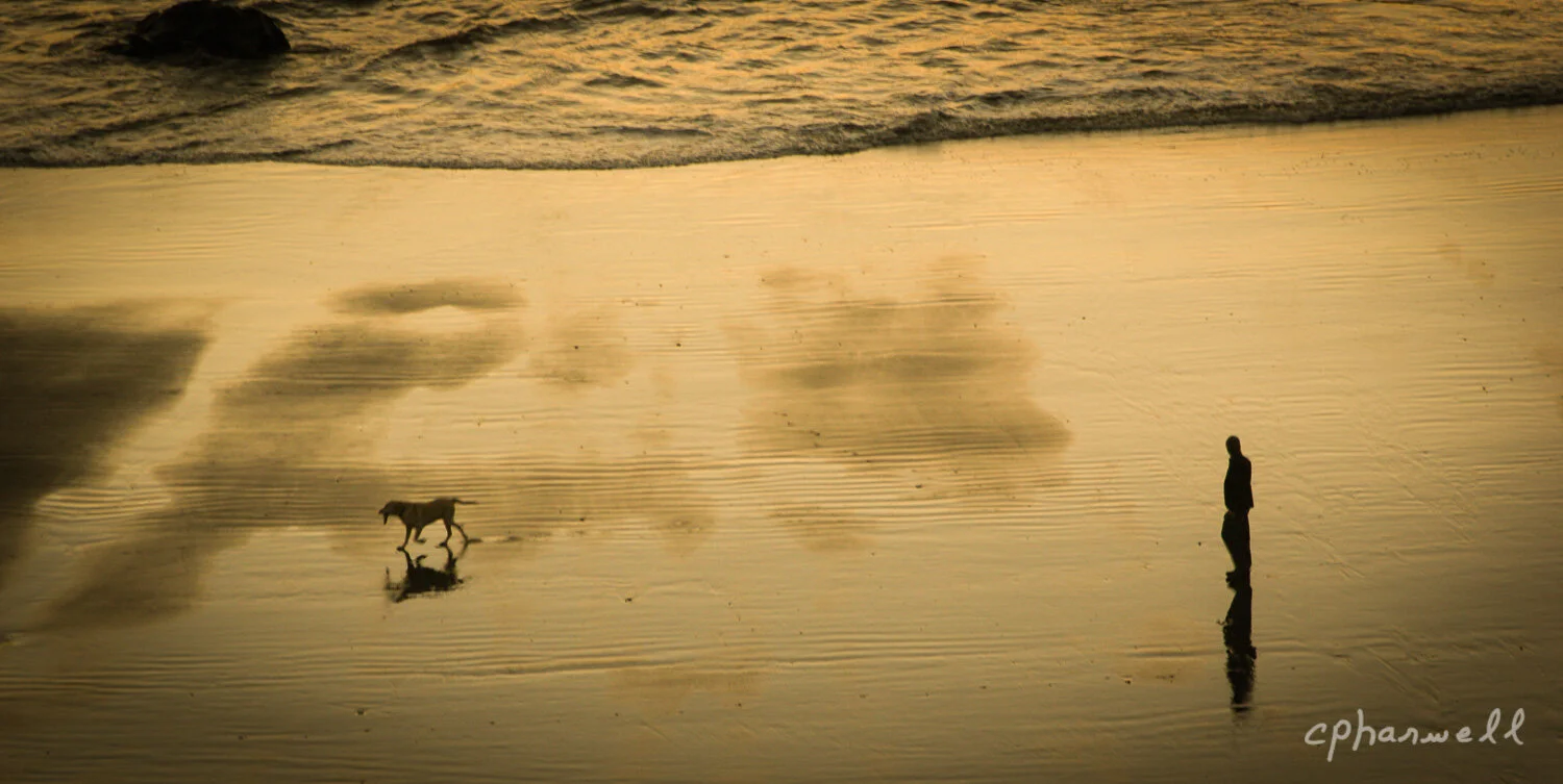 Book1, Come See Oregon-48.JPG