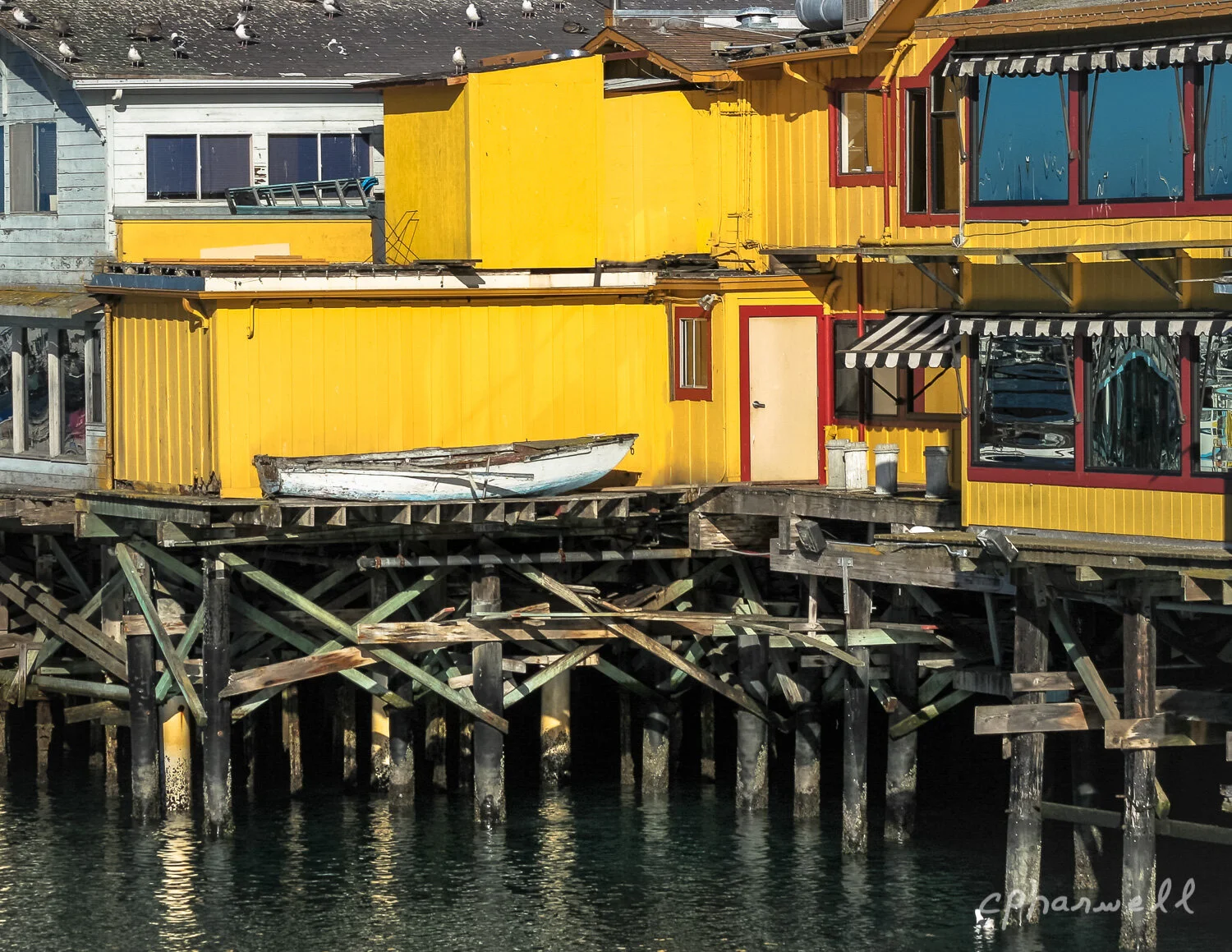 Edited in Photoshop - Monterey Bay CA 2015.psd-1.JPG