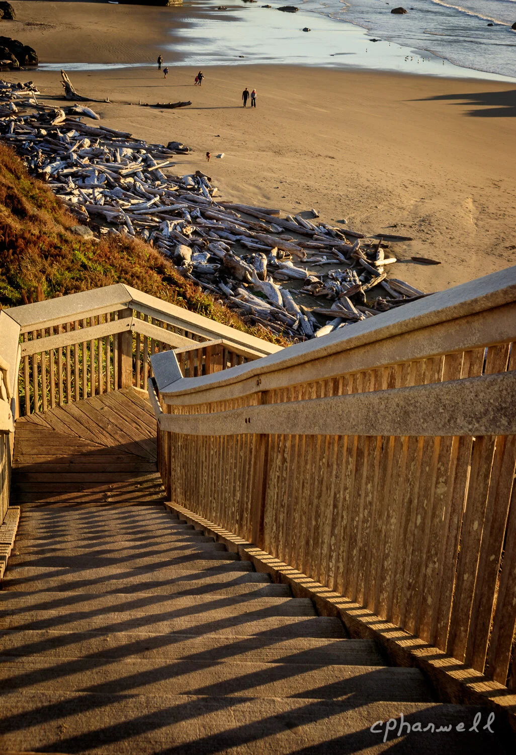 Take Me to the Beach