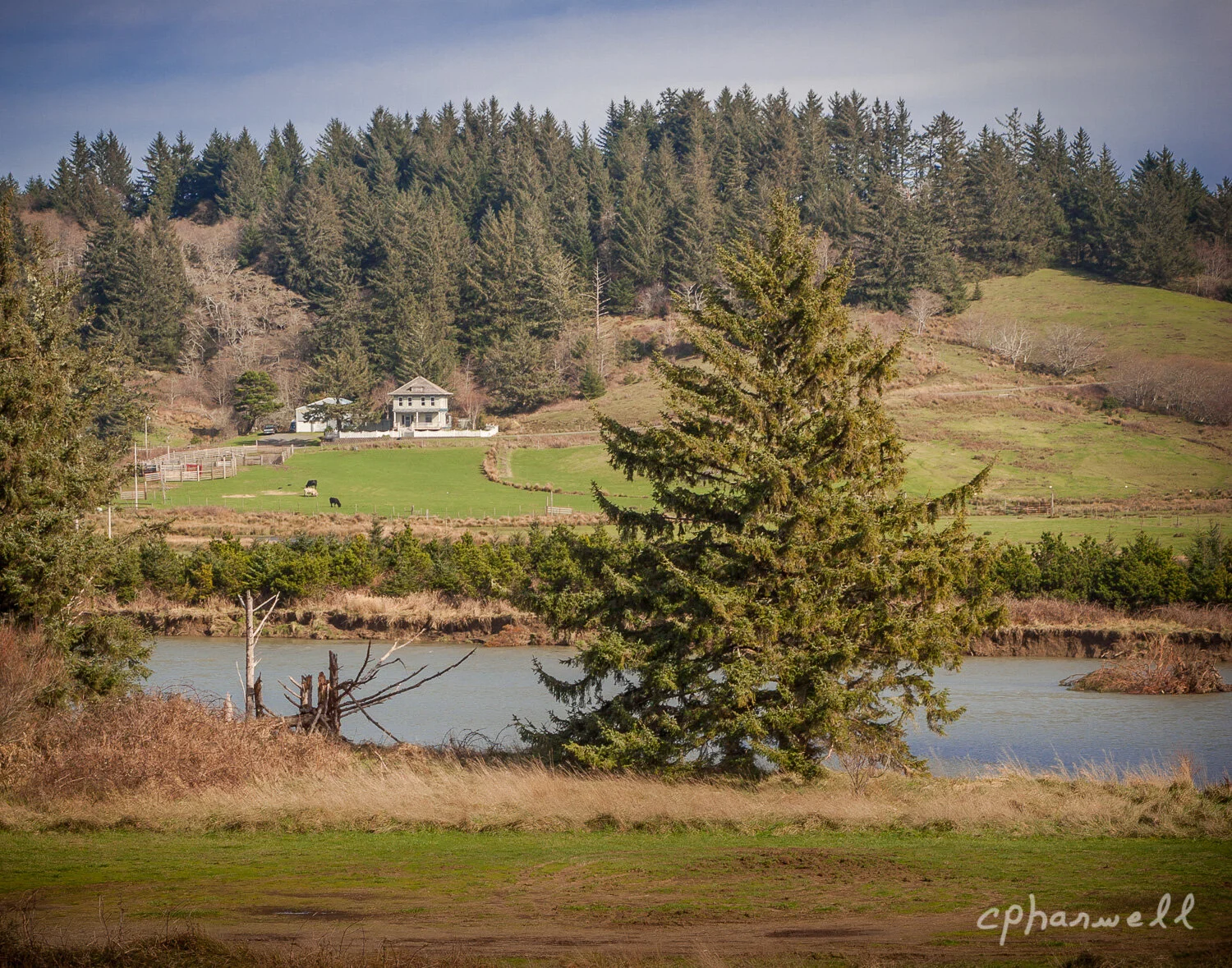 Cape Blanco, OR - 2017-48.JPG