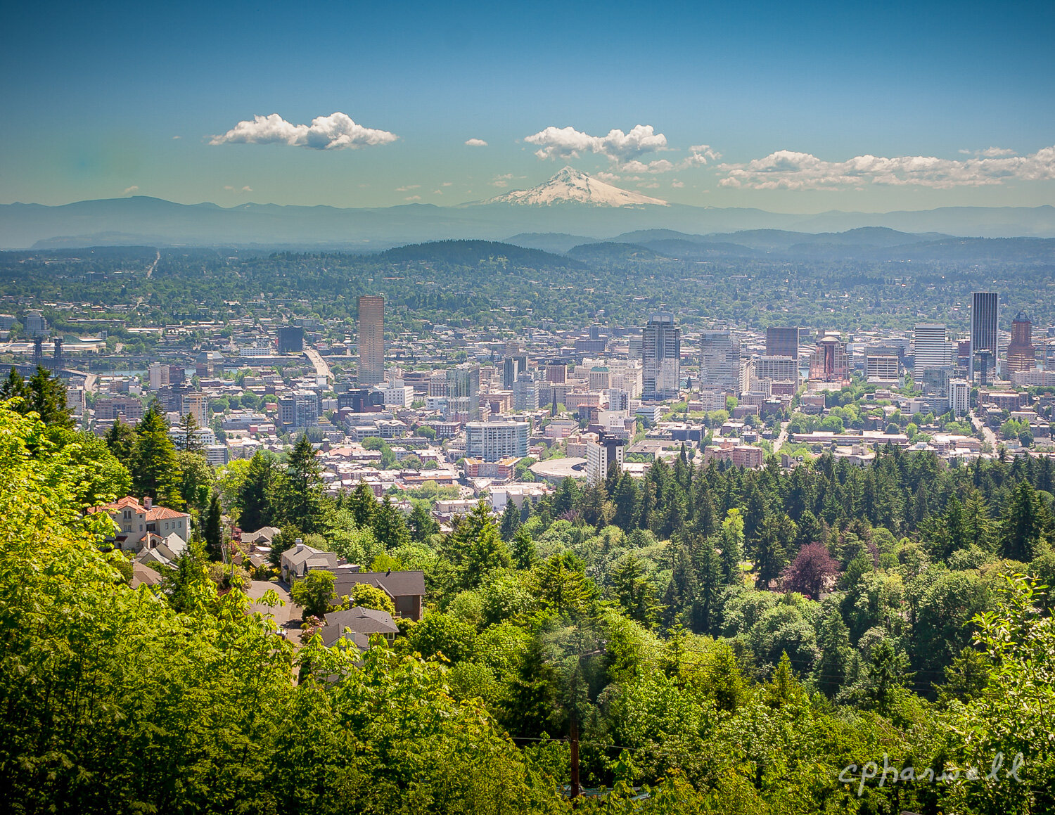 Portland Below