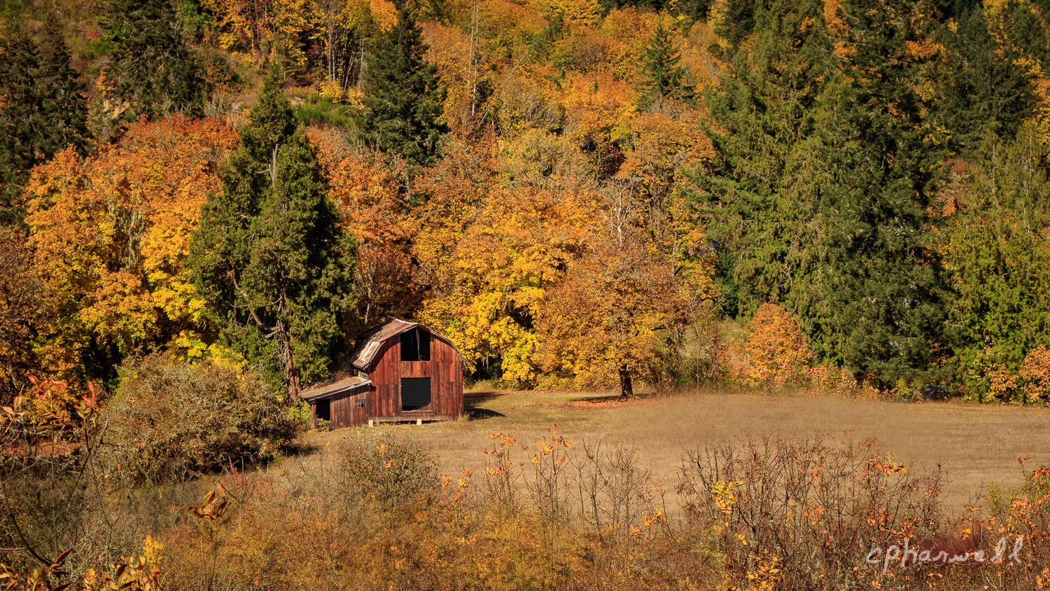 Fall Barn