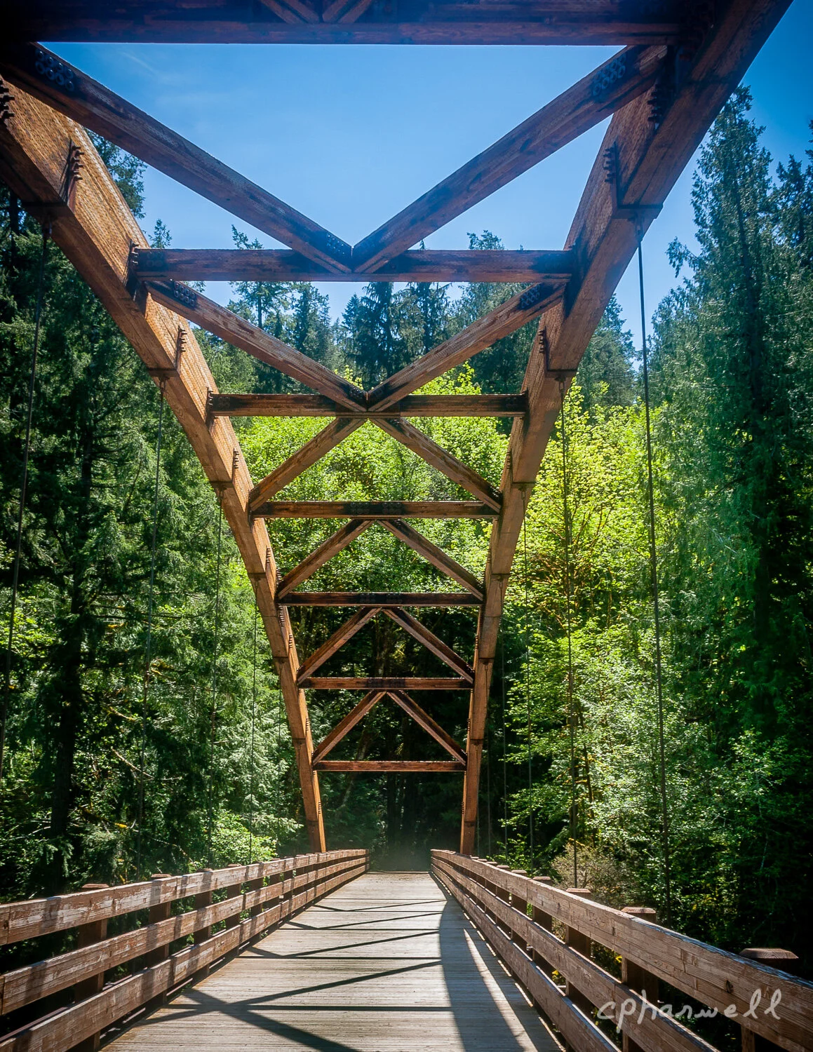 Toketee Falls Area, OR -17.JPG