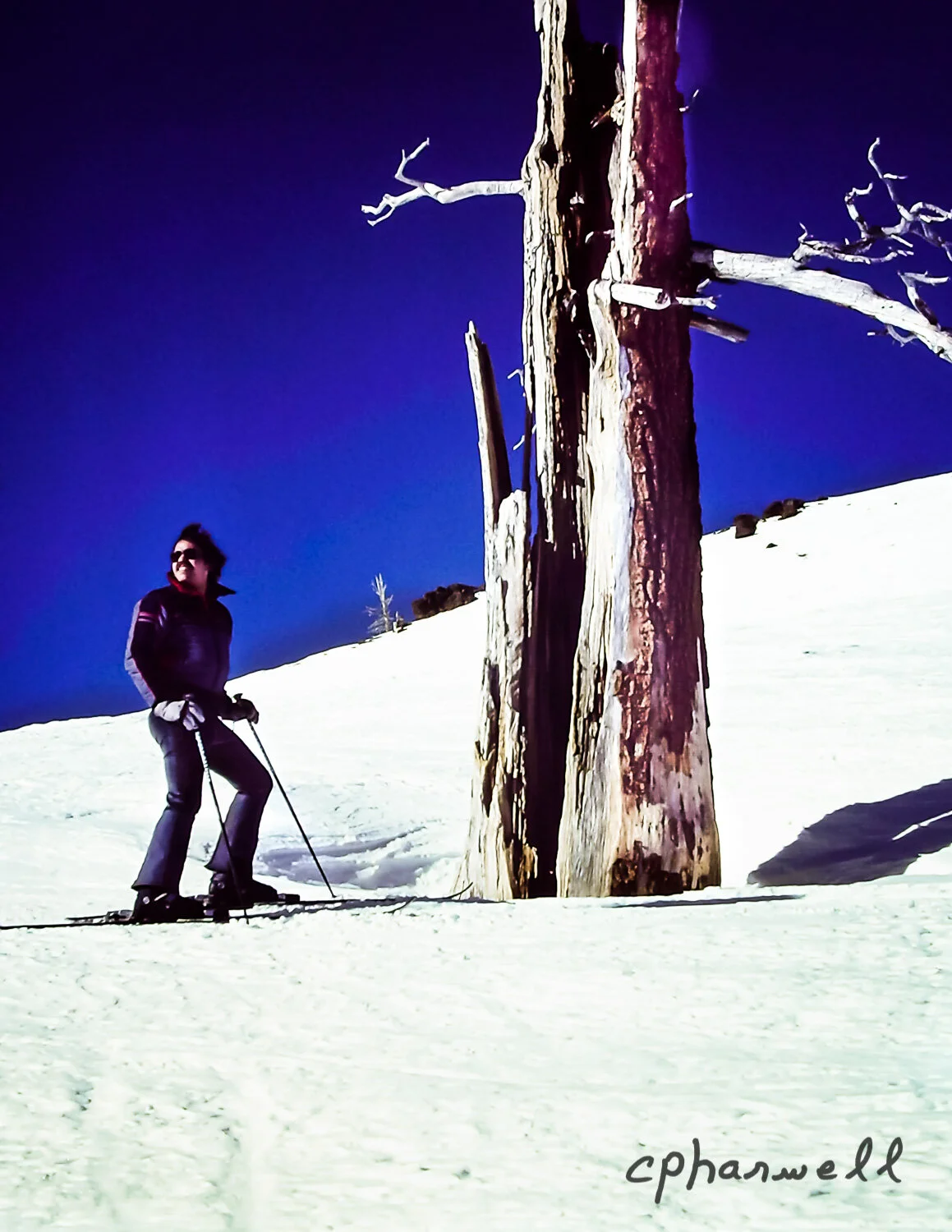 Ski and Tree-1983-1.JPG