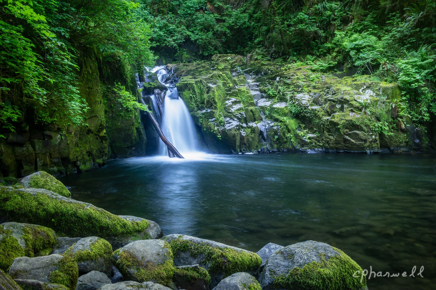 After all These Years