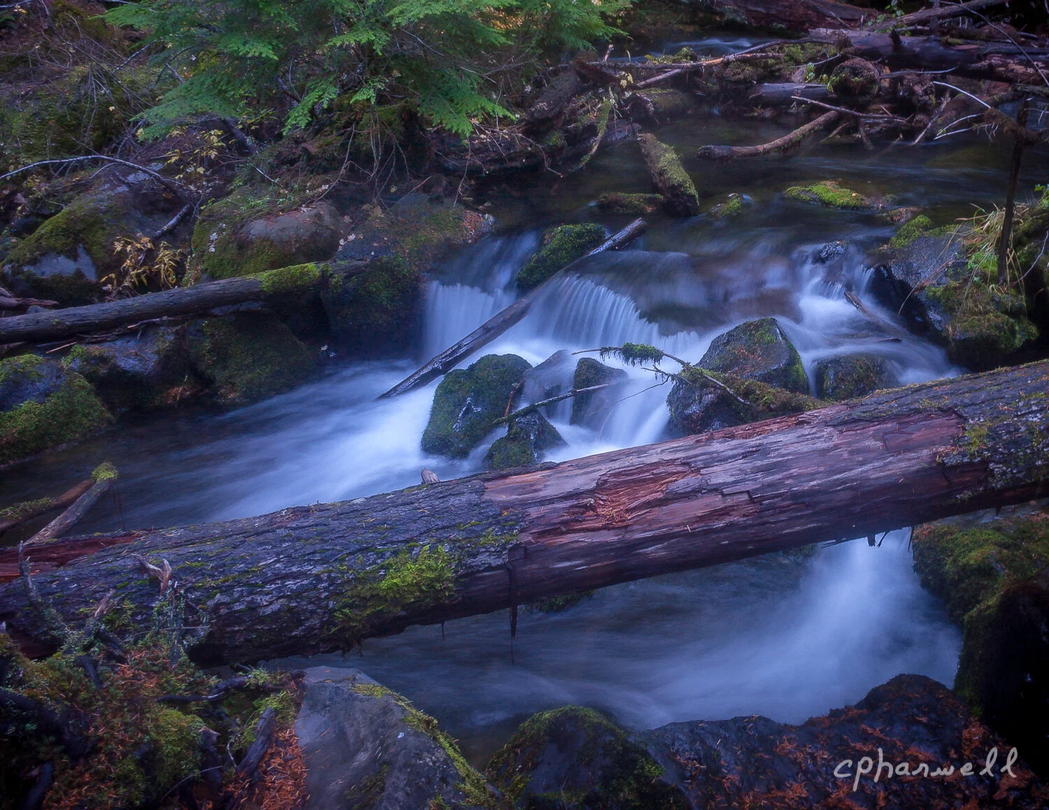 Whitehorse Falls, OR, Oct 2017-3.JPG