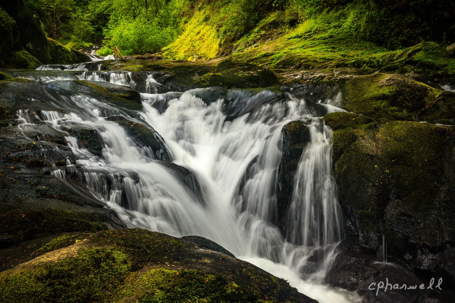 Edited In Photoshop, Sweet Creek, OR June 2019.JPG