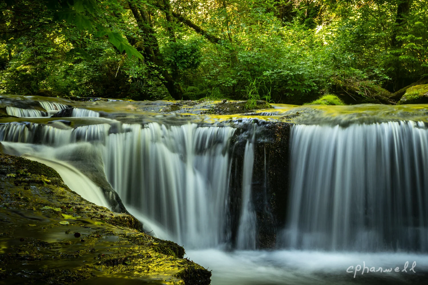 Sweet Creek, OR June 2019-21.JPG