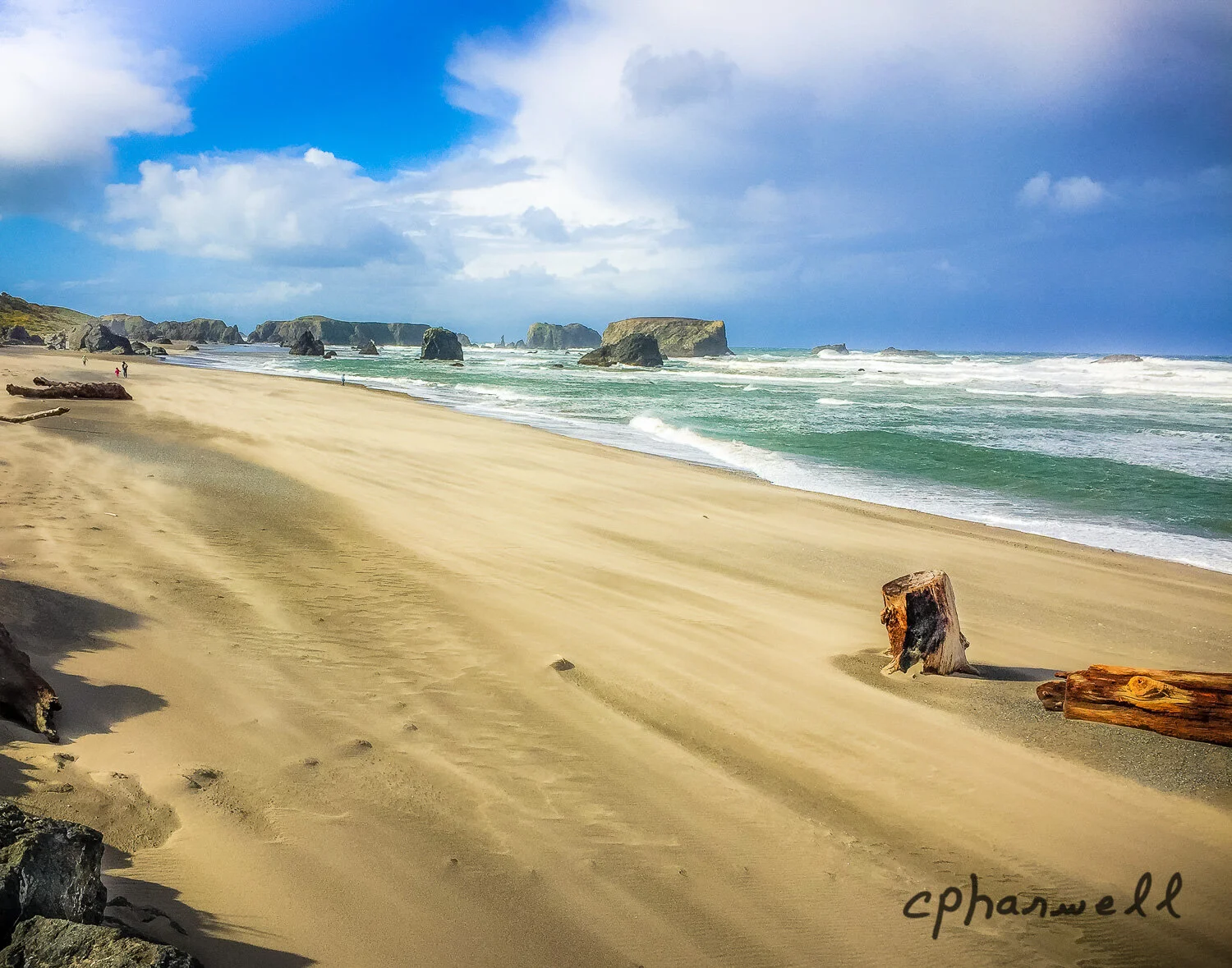 Book1, Come See Oregon-1.JPG