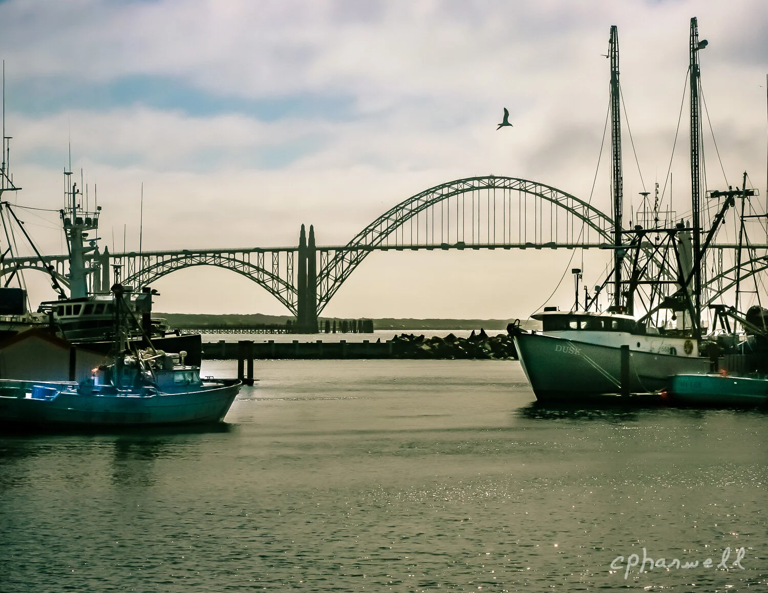 Book1, Come See Oregon-33.JPG