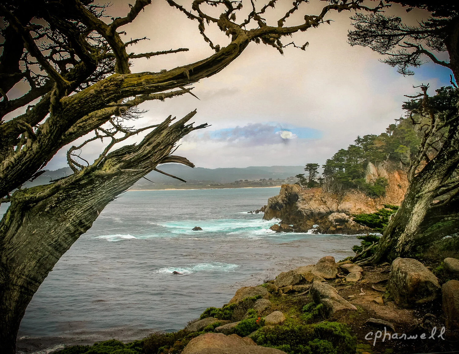 Carmel - Point Lobo0015.JPG