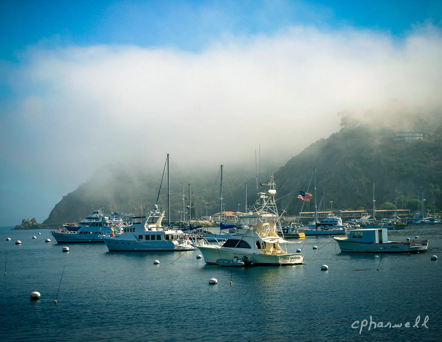 Catalina0029.JPG