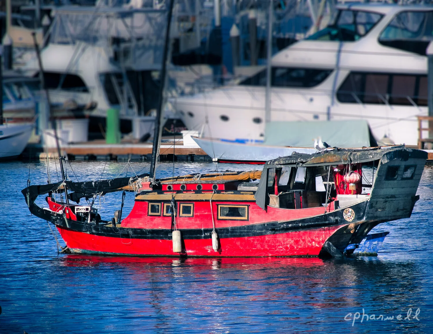 Monterey Bay0025.JPG