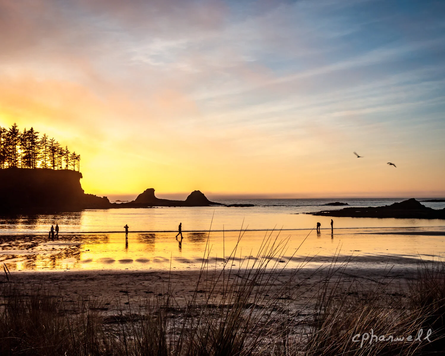 Sunset Bay, Sunset 2018-19.JPG