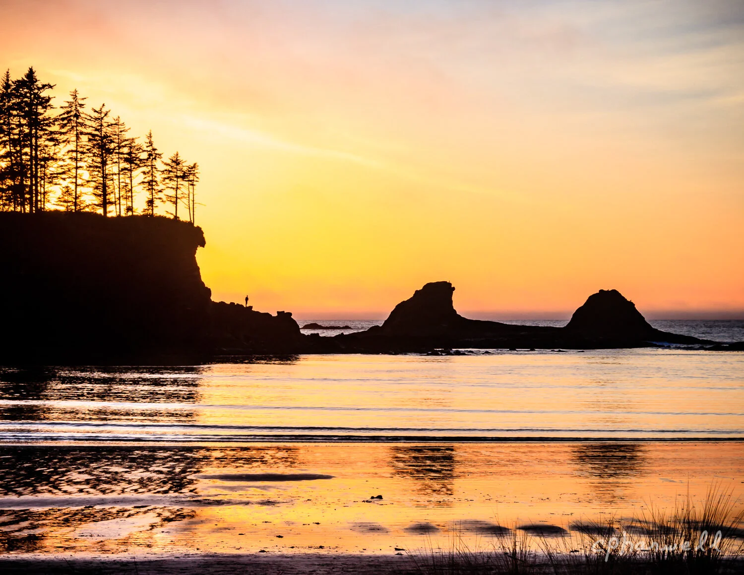 Sunset Bay, Sunset 2018-32.JPG