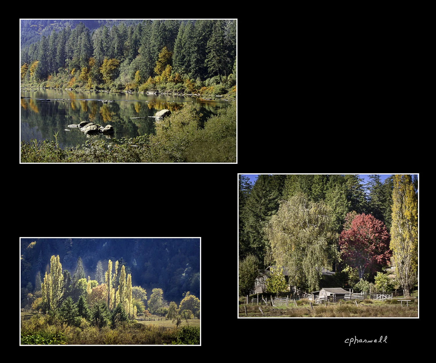 Fall Color Collection