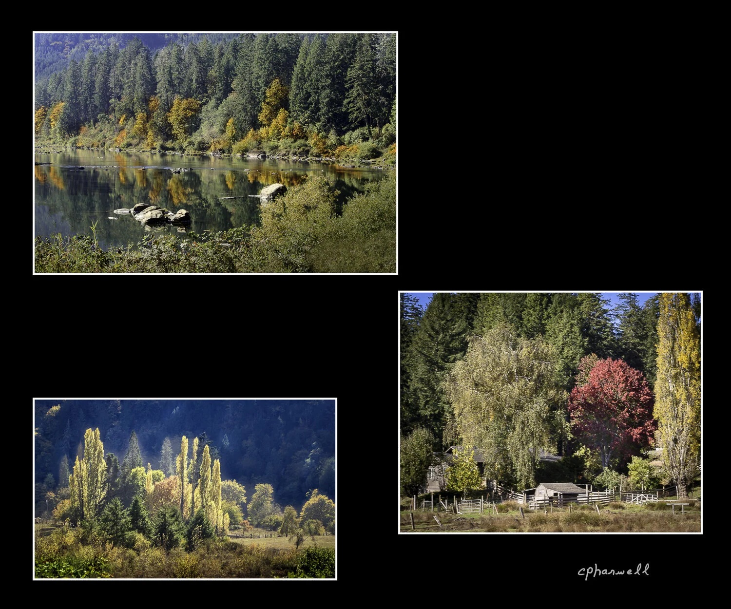 Fall Color Collection 2020.JPG