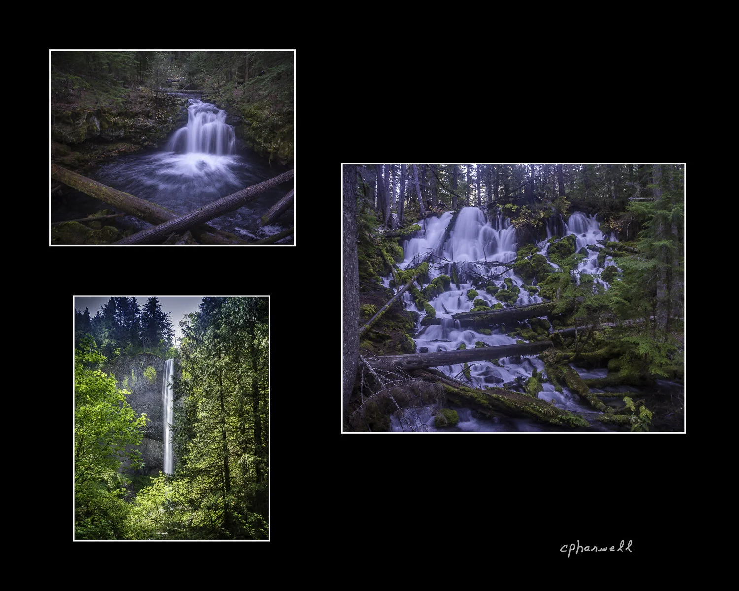 Waterfall Collection 2020.JPG