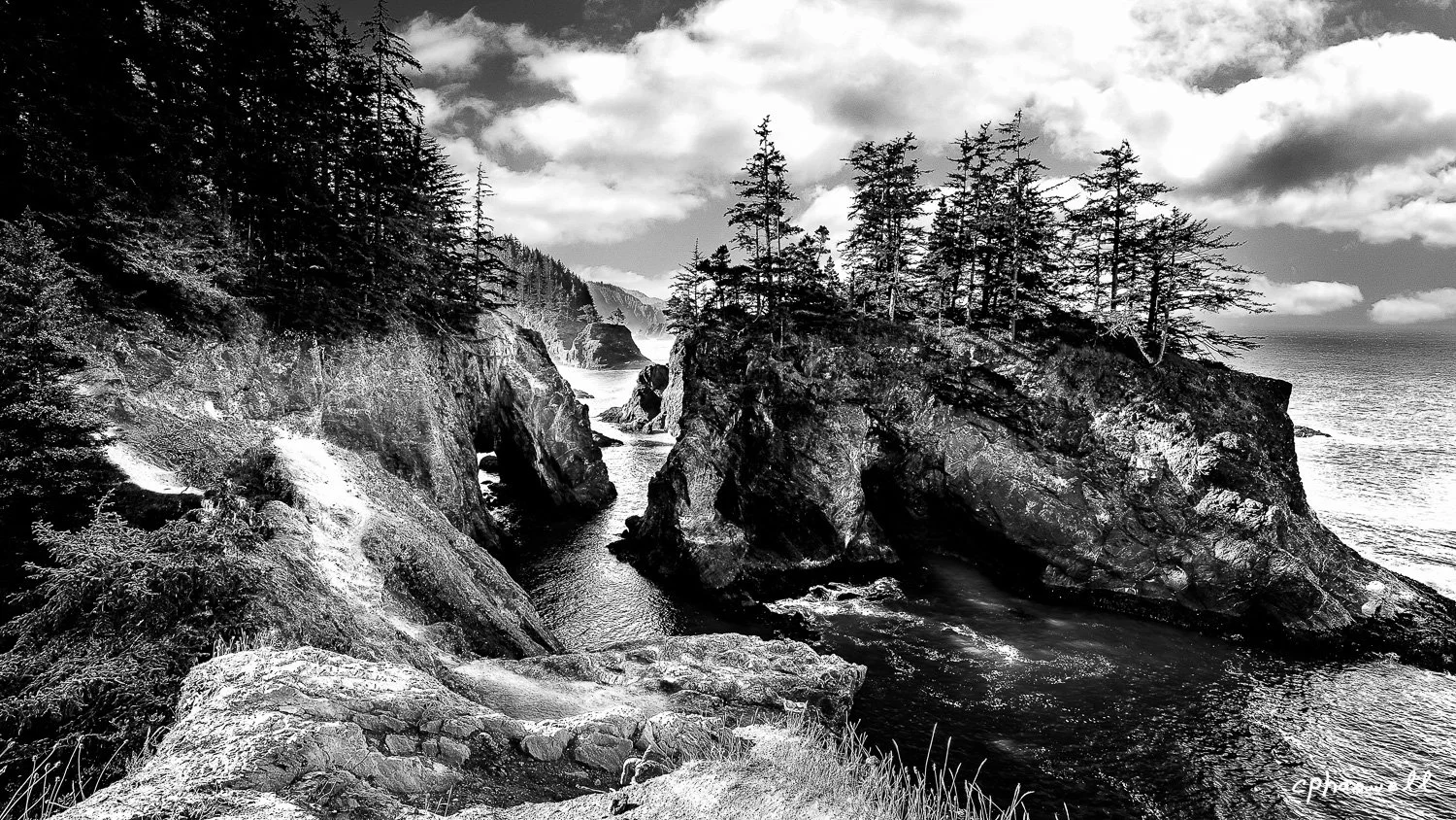 Majestic BW