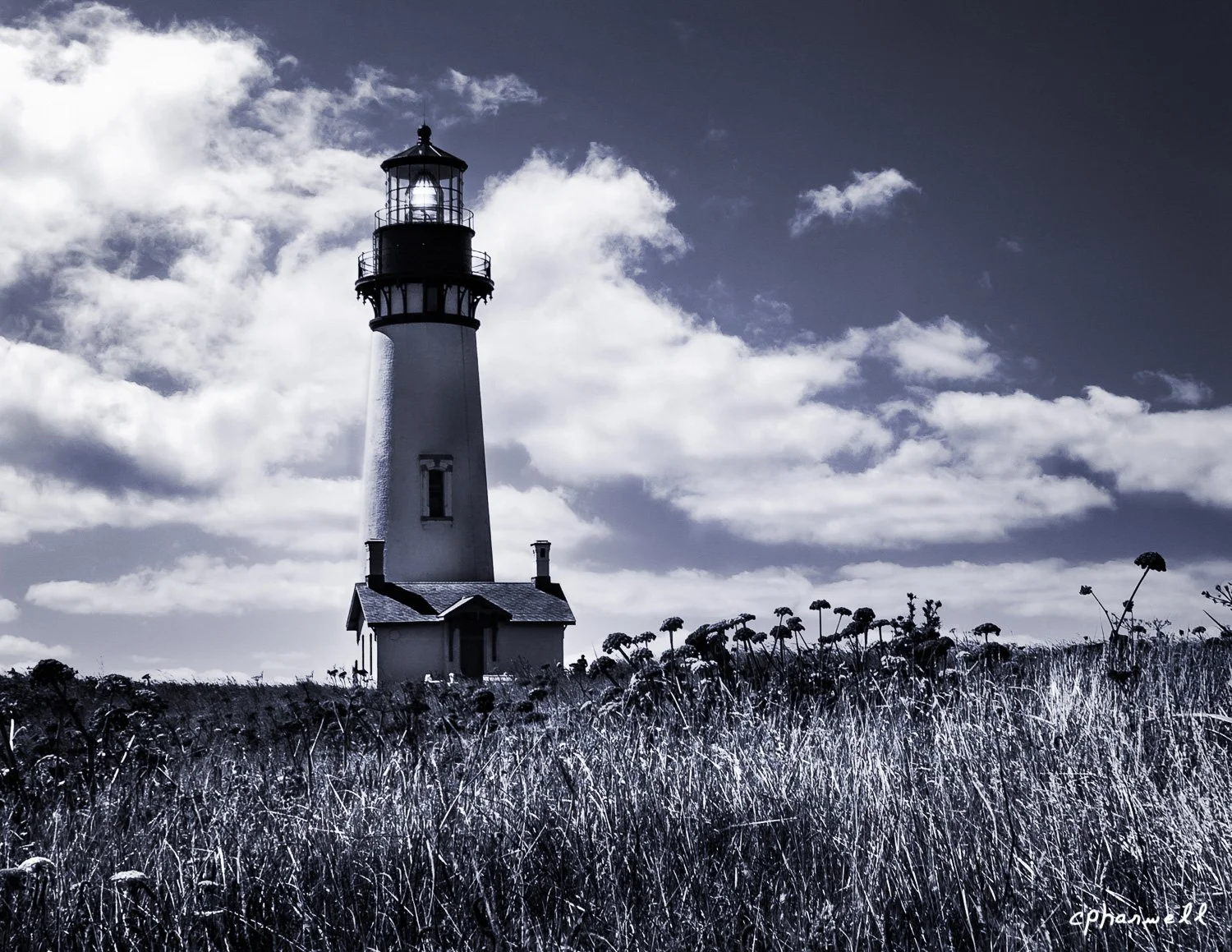 Yaquina Head OZ_2_KANSAS_SEP_BW-2.jpg
