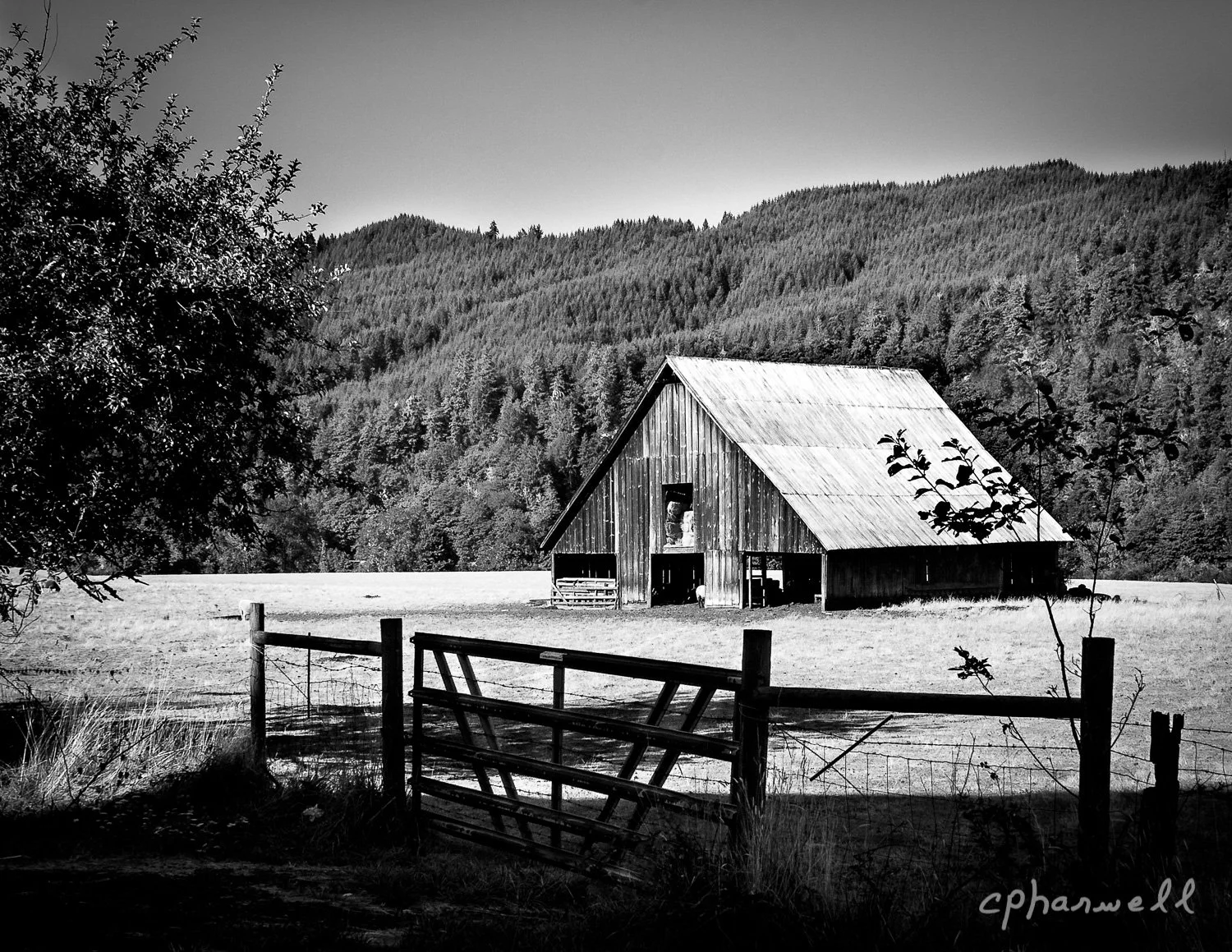 Rural Haven B&W-Gradient Map.JPG