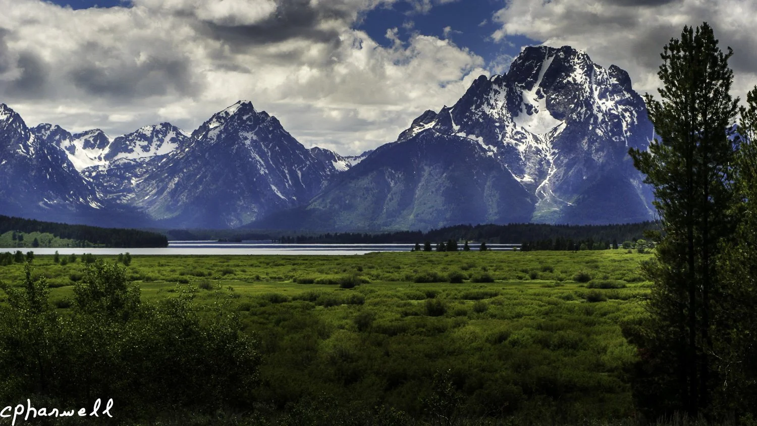 Meadow