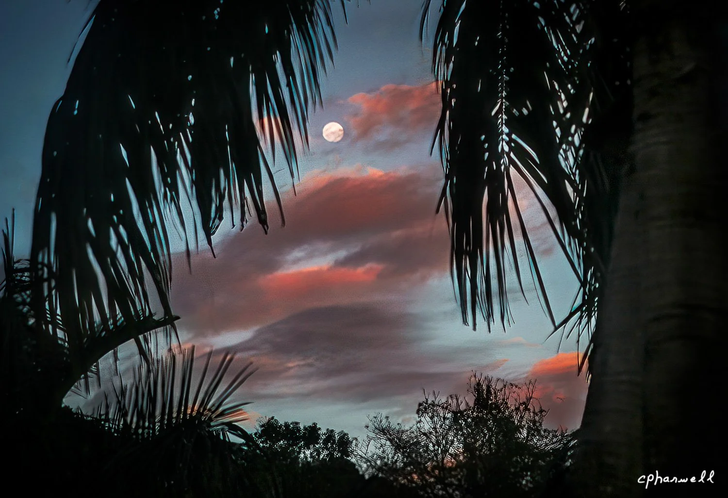 Moon Over Costa Rica
