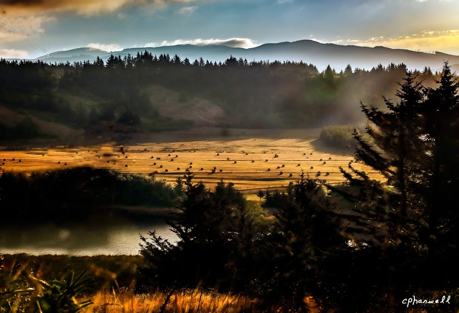 Morning Rays