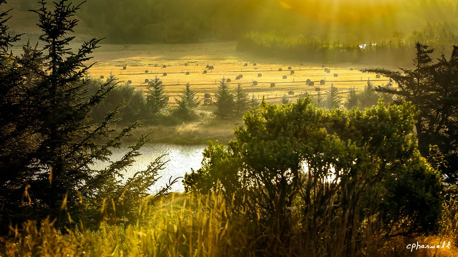 Rolled Hay