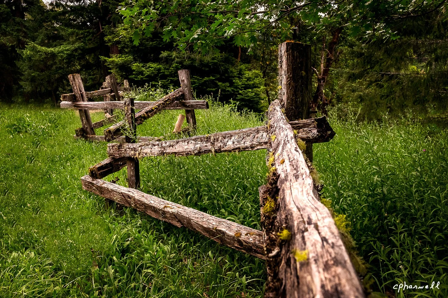 Abstracts, Golden, Oregon7-Edit-Edit-2.jpg