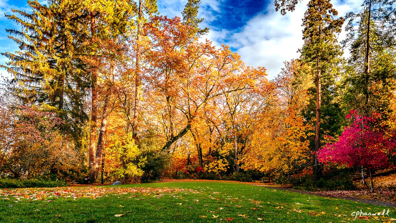 Fall Colors in Lithia Park-2-87-2.jpg