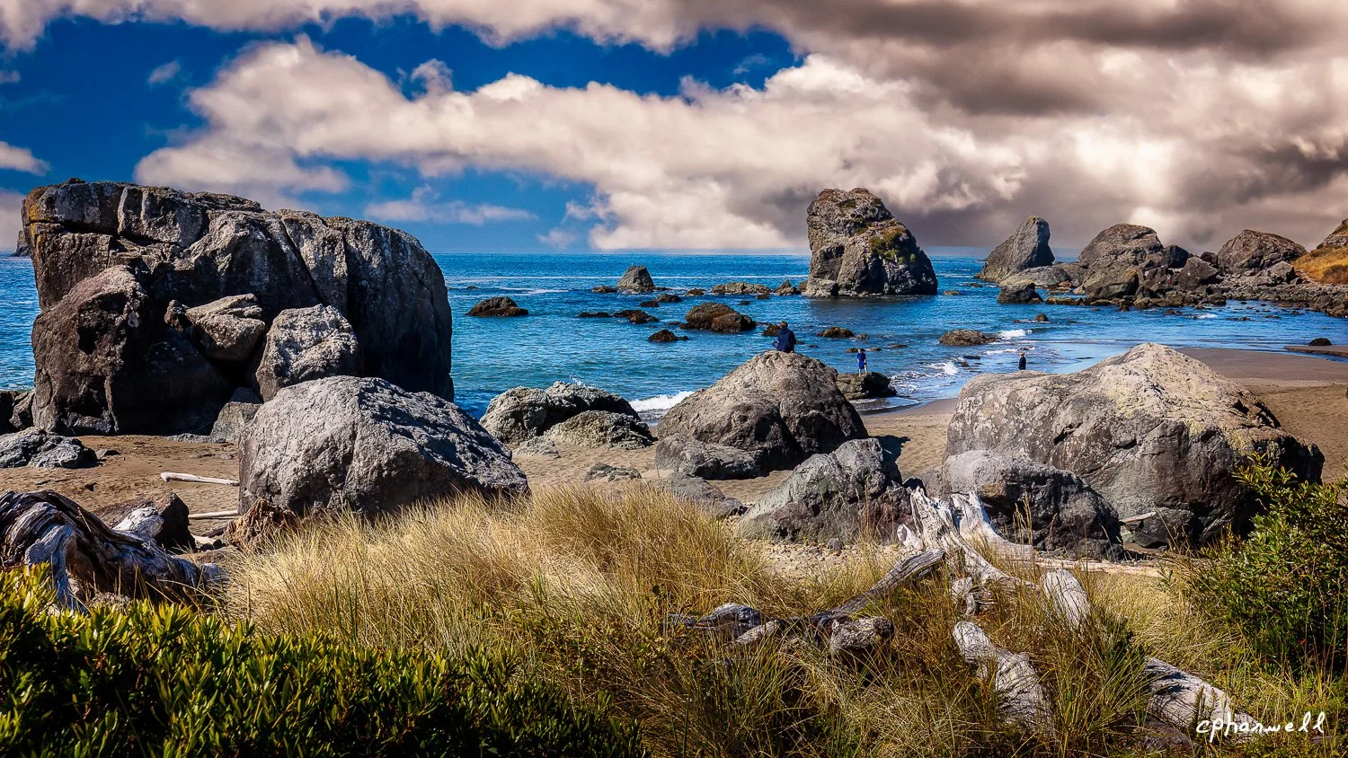 Lone Ranch Beach-4-28-2.jpg