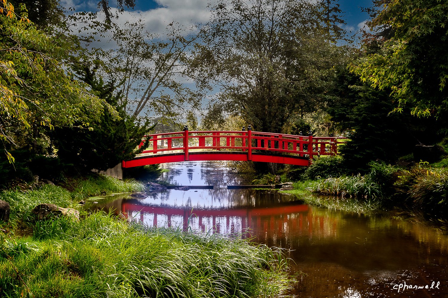 Mingus Park Bridge1-Edit-103-2.jpg