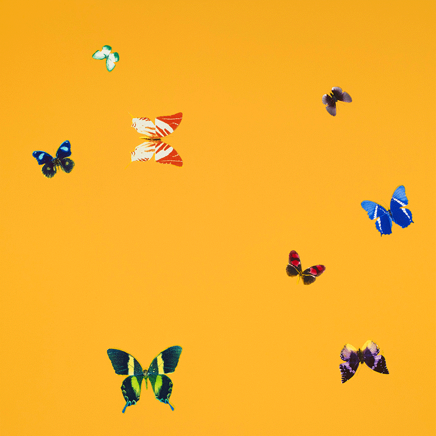 0a4d6d_2226e0771f19457898f5a76f3ad86e2b_mv2.gif