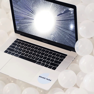 squarespace-feed-option-snarkpark.gif