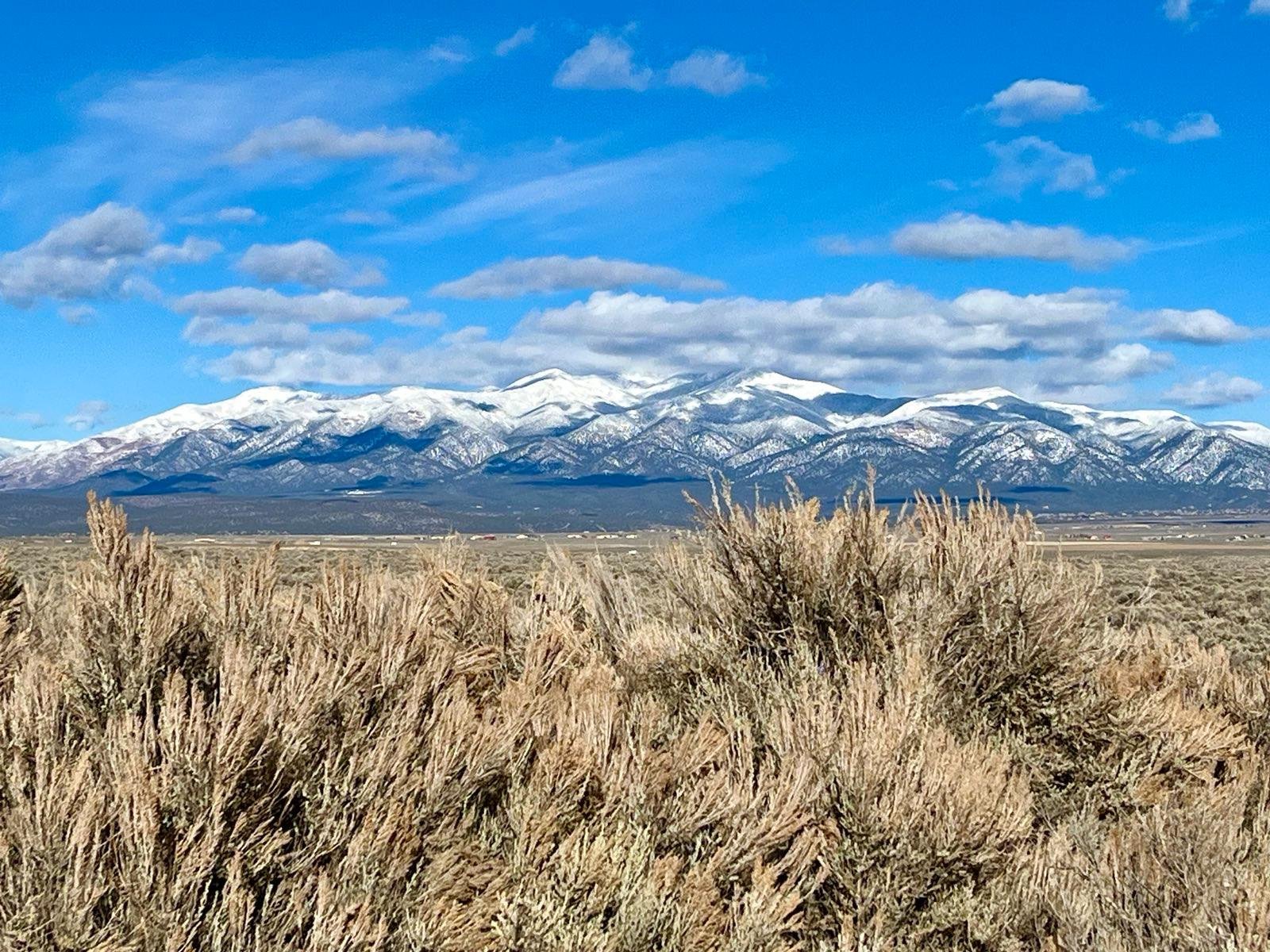 Taos sage helen.jpg