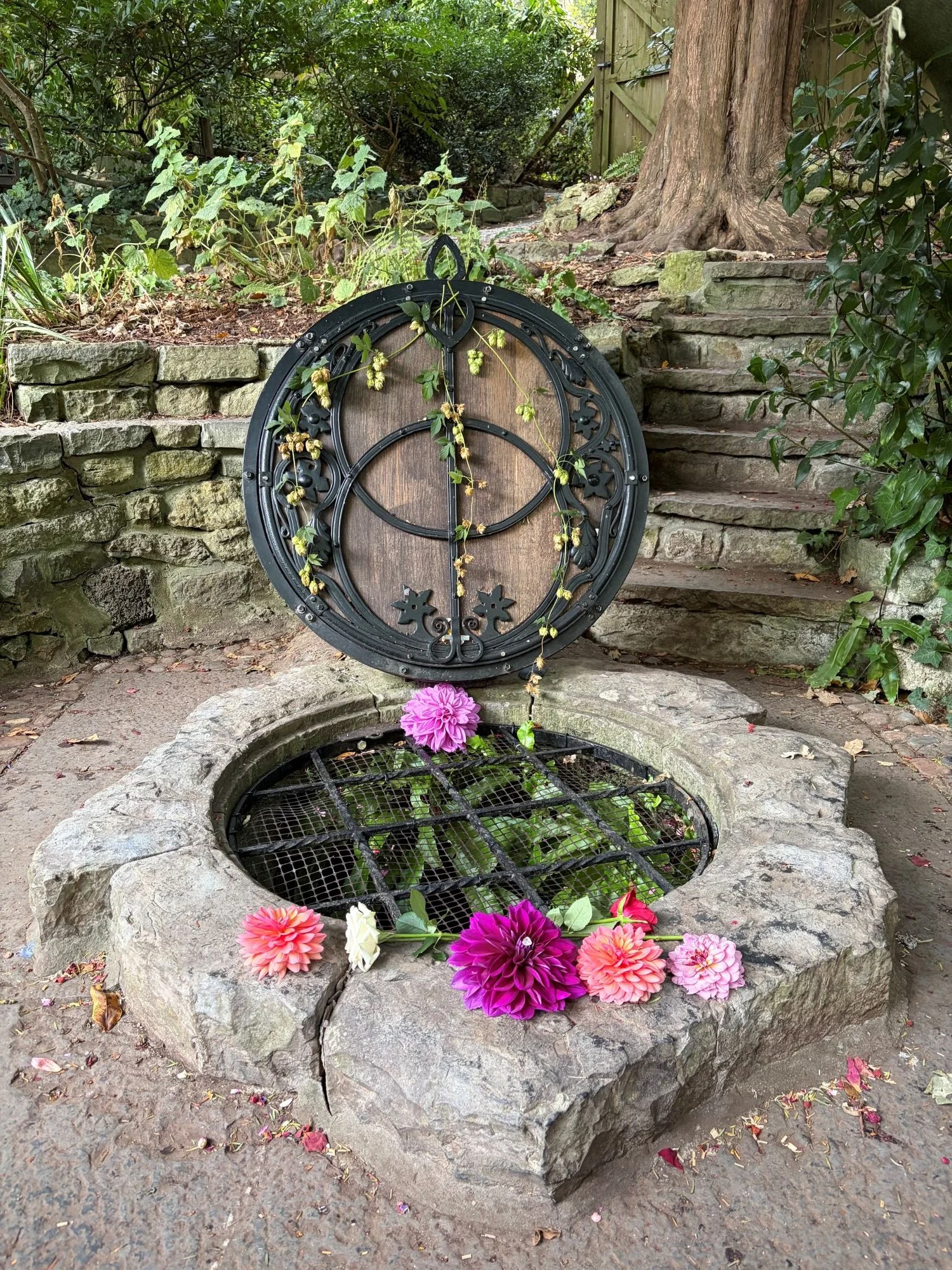Druids, ancient trees and gridwork in Avalon
