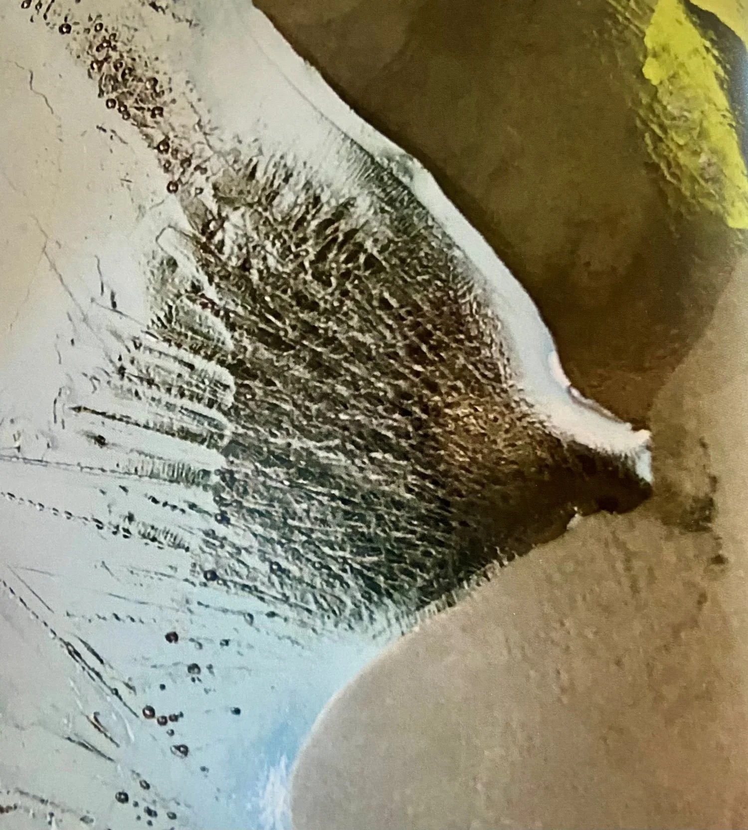 Water is Life. It's also Alive!