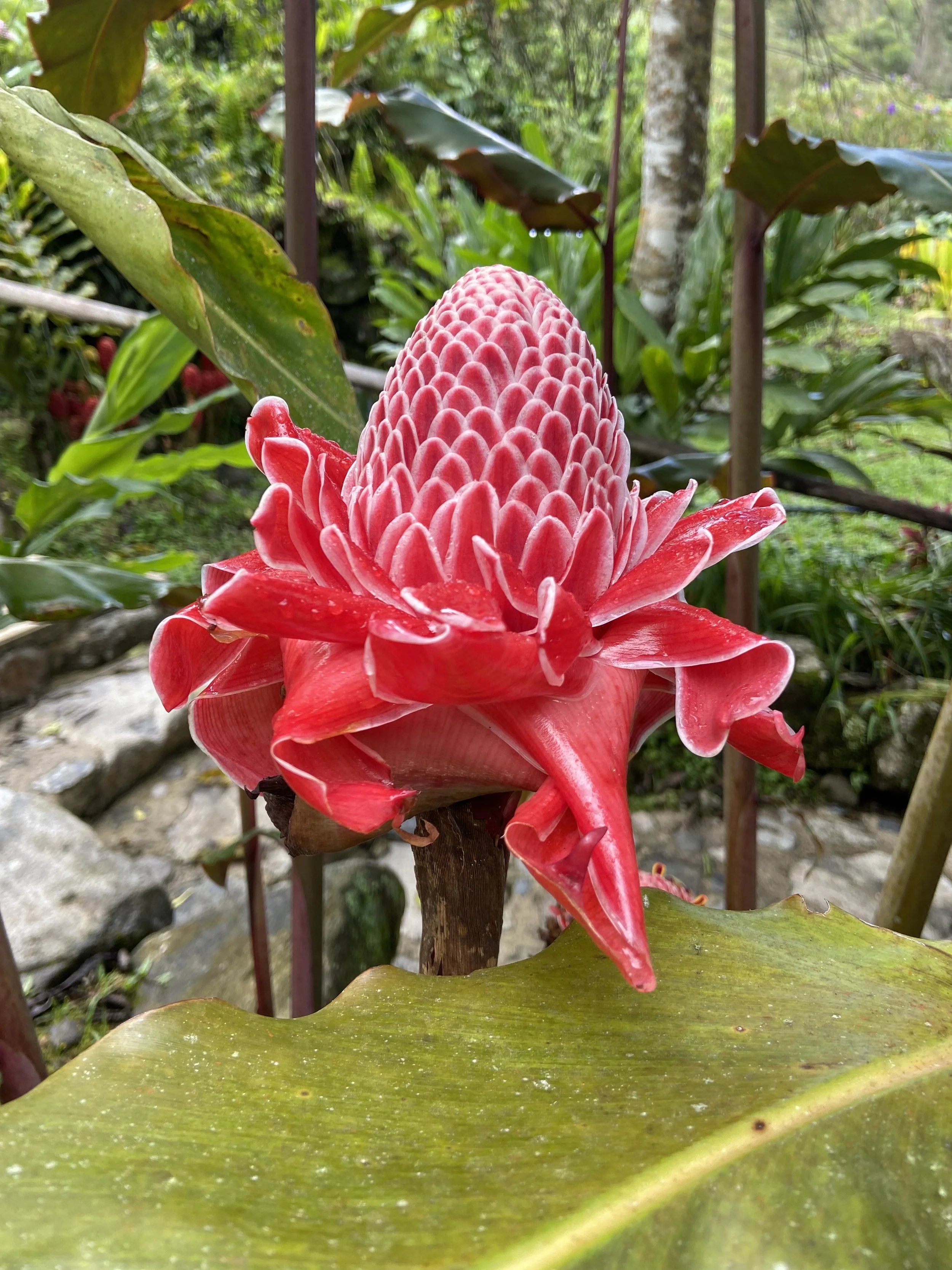 Do this when you feel victimized or powerless