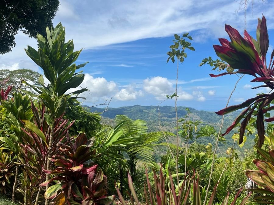 Chirripo Mountain, Costa Rica