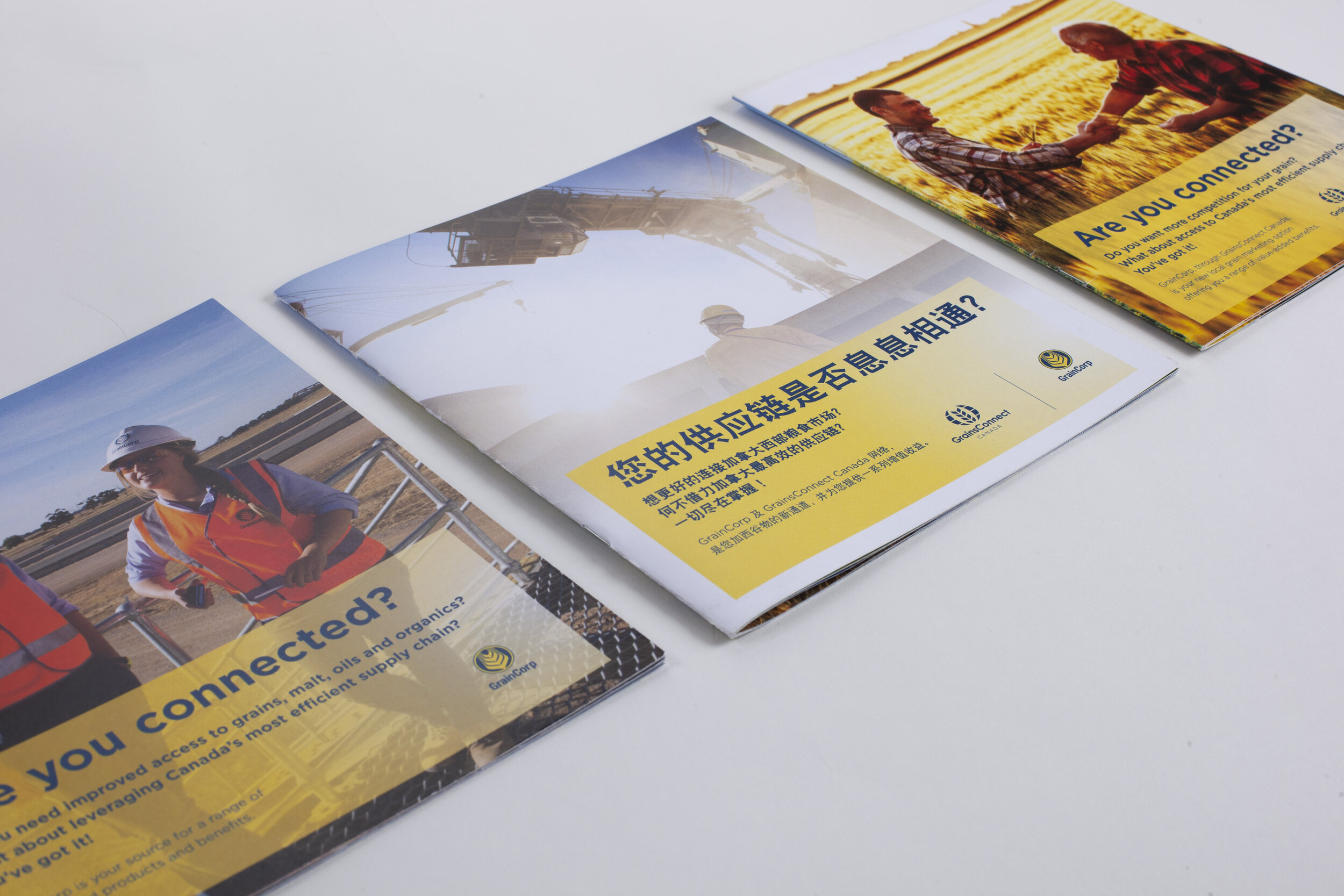 GRAINSCONNECT_BROCHURES.jpg