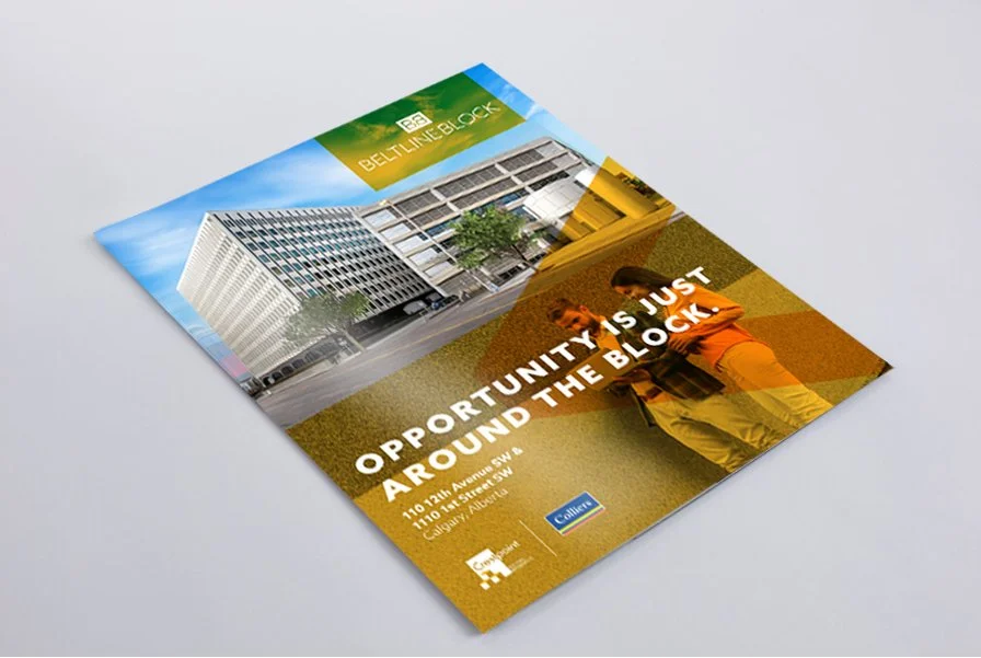 BB_brochure_cover.jpg