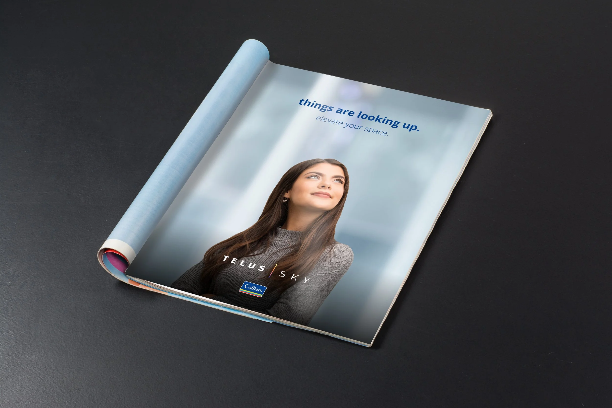 BIZ OF CALGARY_MOCKUP_TELUS.jpg