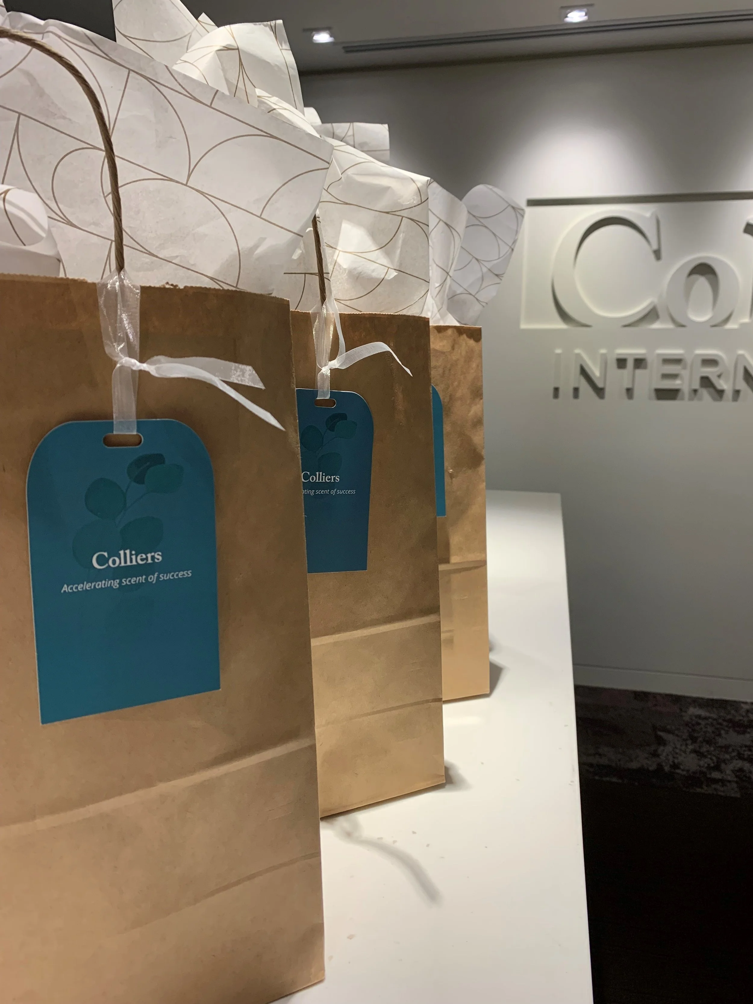 SAGE PHOTOS_BAGS.jpg