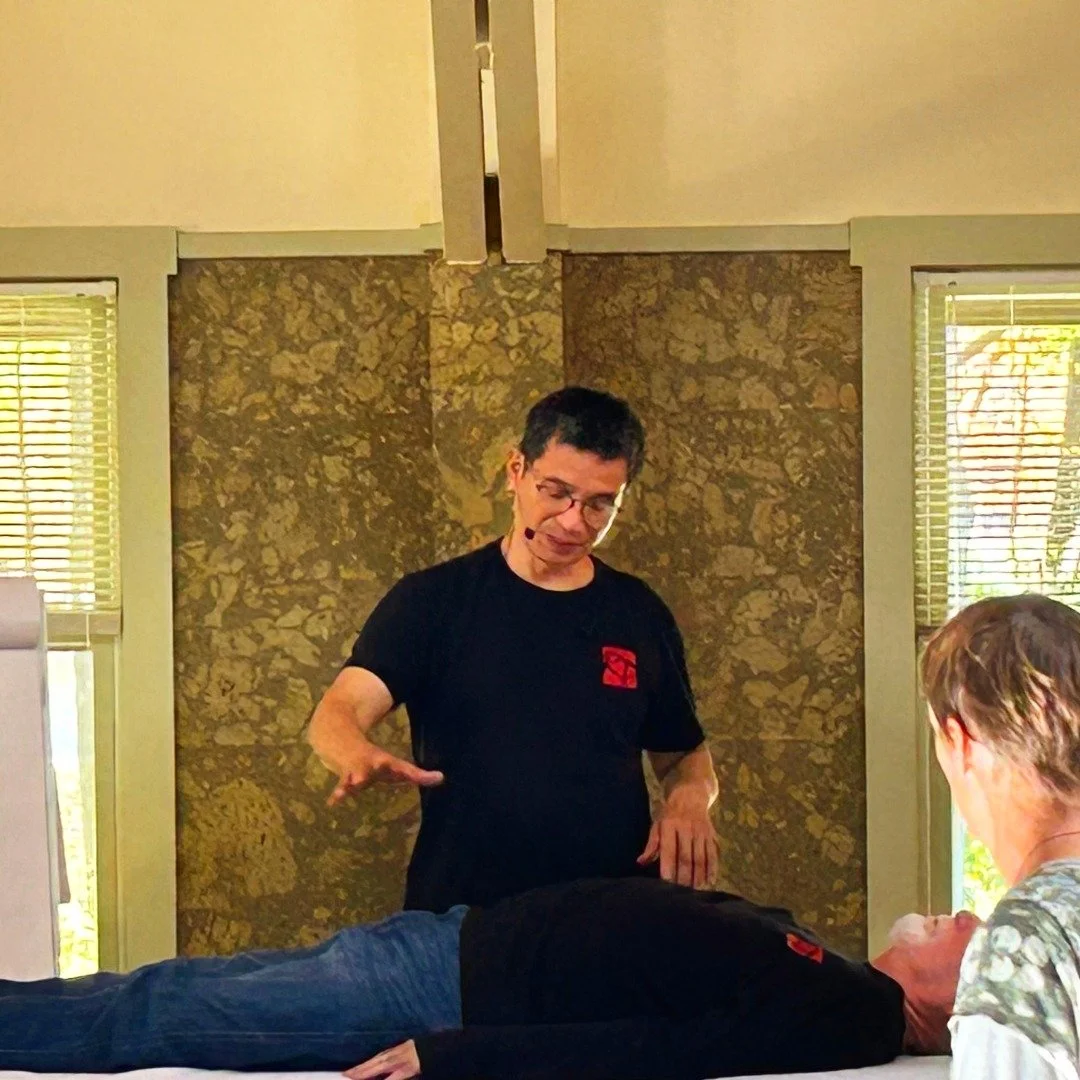 An extraordinary day at the Professional Healer Training!
The practice hall is alive with radiant Qi as students deepen their skills, awaken their inner vision, and embody the power of ancient healing arts. 

Through hands-on and remote healing, ener