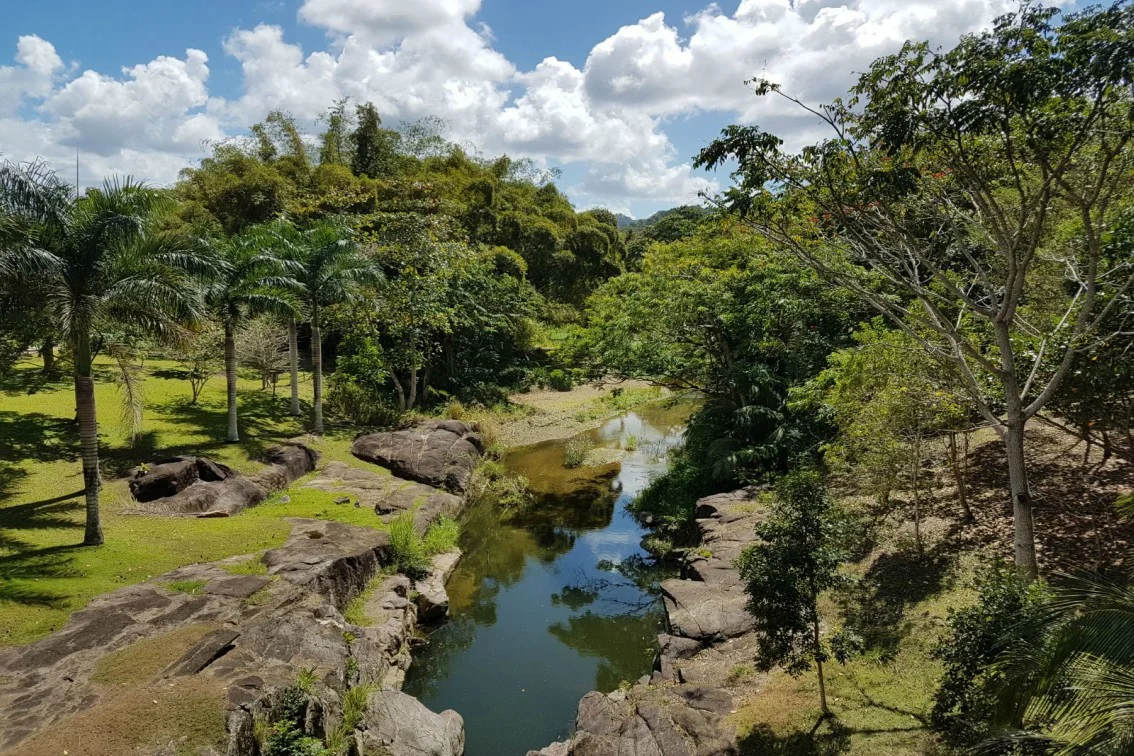 Got Lost and found a Garden