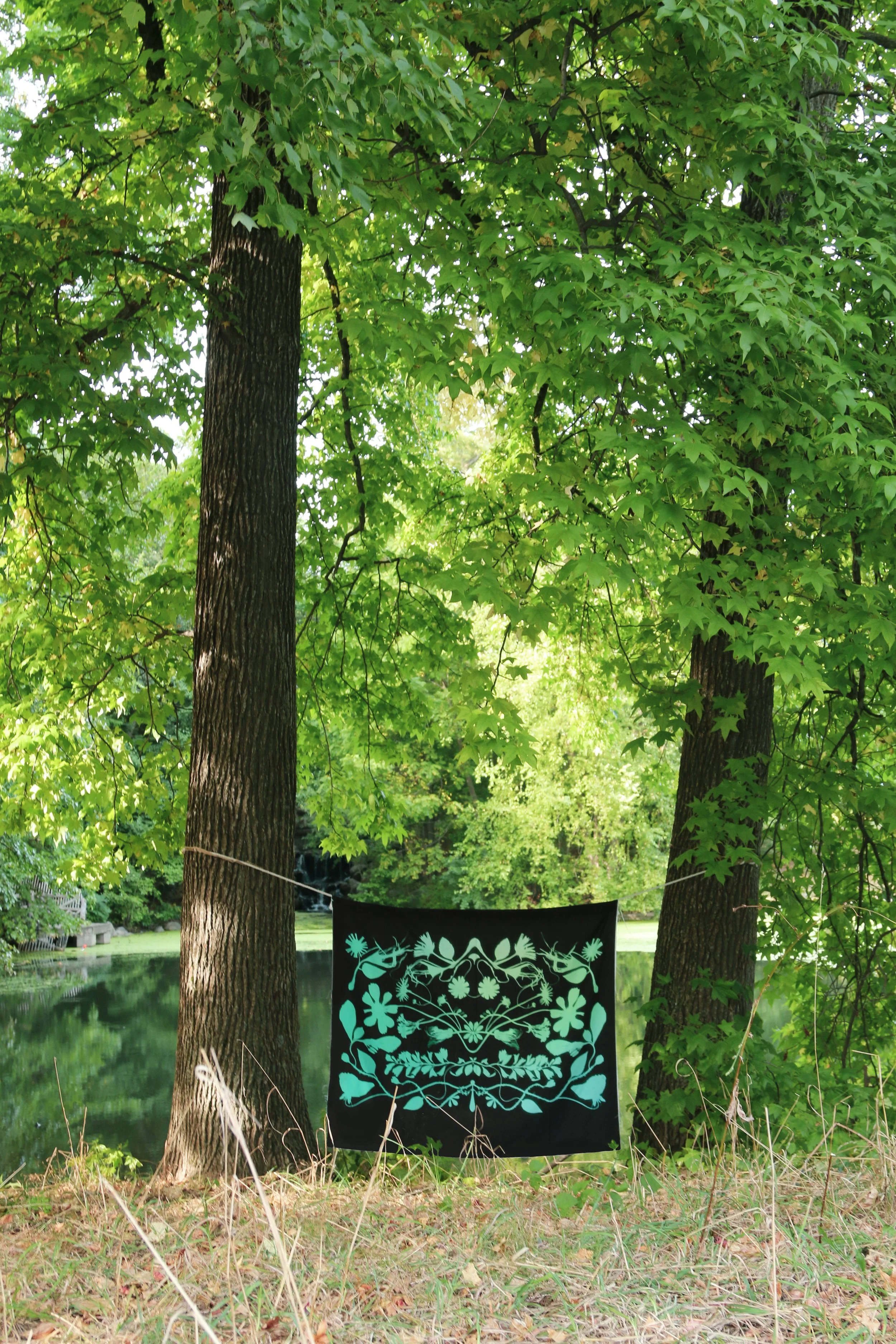 Prospect Park, New York