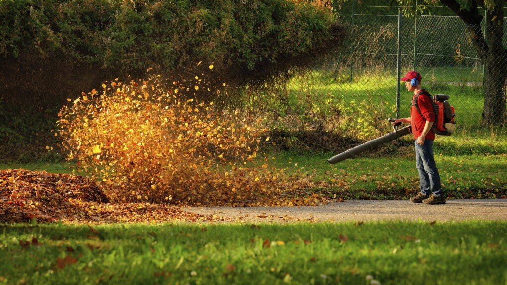 Fall Cleanup | Learn More →&lt;strong&gt;Leaves &amp; dead plants made easy. &lt;/strong&gt;&lt;a&gt;&lt;/a&gt;